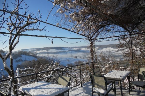 Le Verger sous les Vignes (Villeferry)